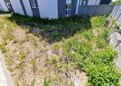 ������ 2 ����������� �������� � ������� �� 3 ����� ���� 43