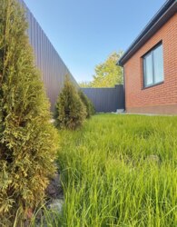 ������ 1 ����������� ������� � �������� � ������� �� 5 ����� ���� 62