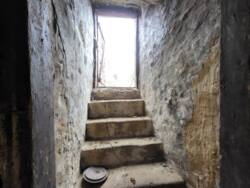 ��������� ������� ³�������, �����������, �������, ��������� ���� 24