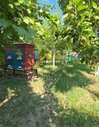 Продаж 3 поверхового будинку з опаленням і ділянкою на 2.5 сотки фото 12 Продаж 3 поверхового будинку з опаленням і ділянкою на 2.5 сотки фото 12