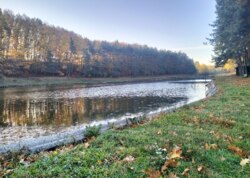 Продається будинок у Щітках фото 52 Продається будинок у Щітках фото 52