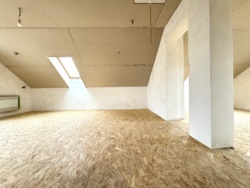 ������ ������� ���� 21