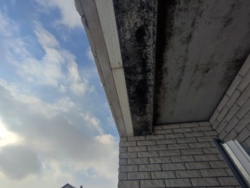 ��������� ������� ³�������, ³�����, �����������, ����� ����, ������� ��������������� ���� 4