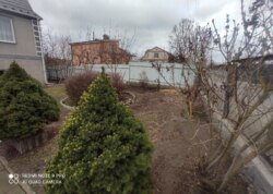 ��������� ������� �����, ³�����, ³�������, �����������, ����� ���� ���� 41