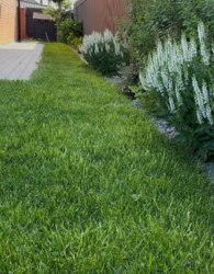 ������ 2 ����������� �������� � ������� �� 4.5 ����� ���� 27