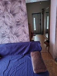 ��������� ������� 2-� �������� ����������, ³�����, ³�������, �����������, ����� ���� ���� 8