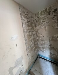 Продаж 1 поверхового будинку з ділянкою на 3.75 сотки фото 8 Продаж 1 поверхового будинку з ділянкою на 3.75 сотки фото 8
