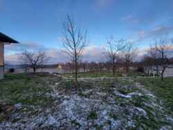 ��������� ������� ³�������, ³�����, ���������, ����-����������� ���� 3