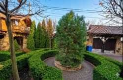 ������ ��������� ����������������� ������� � ������������� �������� ���� 4