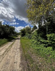 Продається будинок вул. Данила Нечая, Вінниця, Вінницька, Староміський, Старе місто фото 30 Продається будинок вул. Данила Нечая, Вінниця, Вінницька, Староміський, Старе місто фото 30