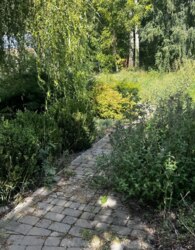 ��������� ������� � ��������� ���� 86