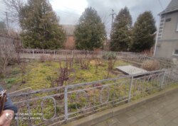 ��������� ������� �����, ³�����, ³�������, �����������, ����� ���� ���� 8