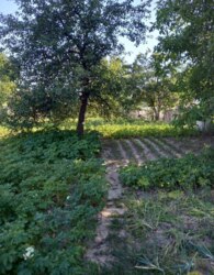  1         9 , 68 . , 3 ,  .   13