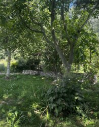 ��������� ������� � ��������� ���� 80