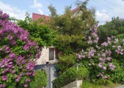 Продаж 1 поверхового будинку з верандою і ділянкою на 10 соток, 156 кв. м, 4 кімнати, на вул. Євгена Чикаленка фото 48 Продаж 1 поверхового будинку з верандою і ділянкою на 10 соток, 156 кв. м, 4 кімнати, на вул. Євгена Чикаленка фото 48