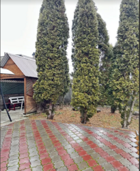 🏡           !  28