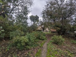 Продається одноповерховий будинок з великою земельною ділянкою! фото 19 Продається одноповерховий будинок з великою земельною ділянкою! фото 19