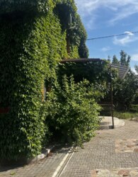 ��������� ������� � ��������� ���� 25