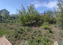 ������ 2 ����������� ������� � ������� �� 10 �����, 250 ��. �, 5 ����� ���� 30