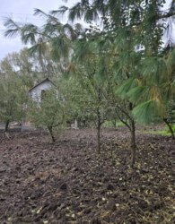 ��������� ������� ����� ������, 8�, ³�����, ³�������, ���������, ����-����������� ���� 15