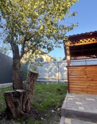 ������ 1 ����������� ������� � �������� � ������� �� 5 ����� ���� 39