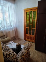 ��������� ������� 2-� �������� ����������, ³�����, ³�������, �����������, ����� ���� ���� 11