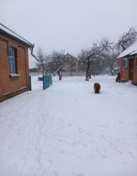 ������ ������� ������� ���� 7