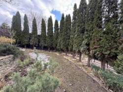 ��������� ������� ��� ������, ³�����, ³�������, ����������, �'�������� ���� 13