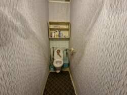 ������� ������� ���� ���� 15