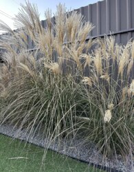 Продаж 2 поверхового дуплекса з ділянкою на 3.7 сотки фото 36 Продаж 2 поверхового дуплекса з ділянкою на 3.7 сотки фото 36