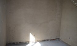 ����, ���, ����, �������., ����� - ���������� ���� 54