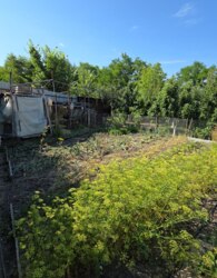 Продаж 3 поверхового будинку з опаленням і ділянкою на 2.5 сотки фото 19 Продаж 3 поверхового будинку з опаленням і ділянкою на 2.5 сотки фото 19