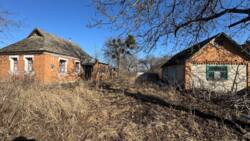 ������ ������� � ������� ������� � ������ ����������� ���� 7