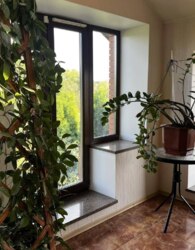 ��������� ������� � ��������� ���� 55