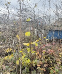 ������ 2 ����������� ������� � ������� �� 10 ����� ���� 3