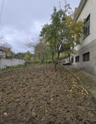 ��������� ������� ����� ������, 8�, ³�����, ³�������, ���������, ����-����������� ���� 21