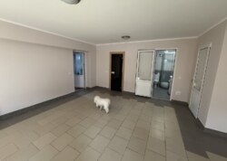 ������ 1 ����������� ������� � ������� �� 4.5 ����� ���� 9