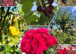 ������ 1 ����������� ��������� ���� 17