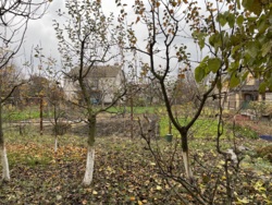 ��������� ������� ����������, 46, ³�����, ³�������, �������������, ����������� ����� ���� 11