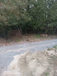 ��������� ������� ³�������, ³�����, ���������, ��������, ���������� (�������) ���� 19