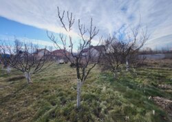 ������ 2 ����������� ������� � ������� �� 18 ����� ���� 10