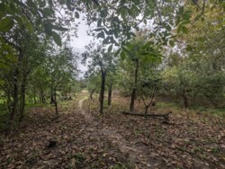 Продається одноповерховий будинок з великою земельною ділянкою! фото 18 Продається одноповерховий будинок з великою земельною ділянкою! фото 18