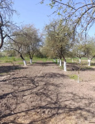 ������ �������� ������� �� 60 ������ ���� 7��. �� ³�����. ���� 7