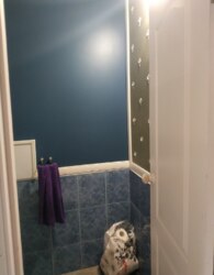 ������ 1 ����������� ������� � ��������� � ������� �� 40 ����� ���� 3