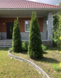  1    6