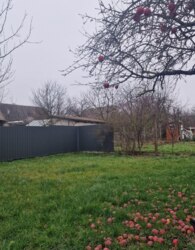 ������ 2 ����������� ������� � ������� �� 4 �����, 100 ��. �, 3 ������, �� ����. ��������� ���� 10