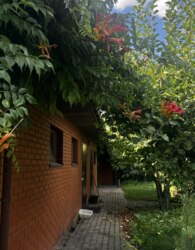 ��������� ������� � ��������� ���� 21