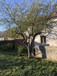 ������ 2 ����������� ������� � ������� �� 4 �����, 100 ��. �, 3 ������, �� ����. ��������� ���� 26