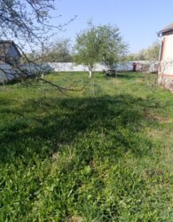 ������ 1 ����������� ������� � ������� � ������� �� 60 ����� ���� 4