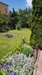 Продається будинок Тернопільська, Тернопільський, Петриків фото 10 Продається будинок Тернопільська, Тернопільський, Петриків фото 10